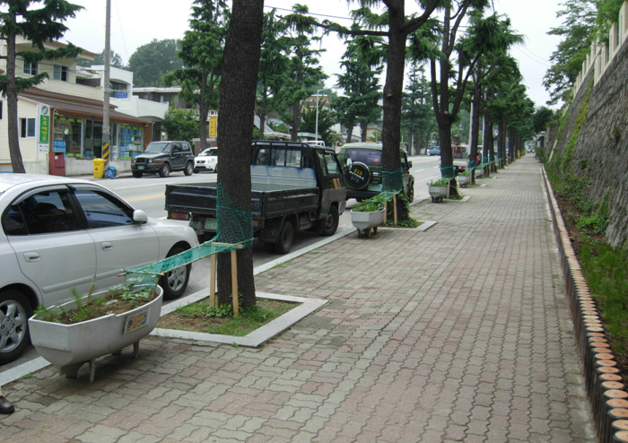 차로변 화분 (수세미 식제됨)