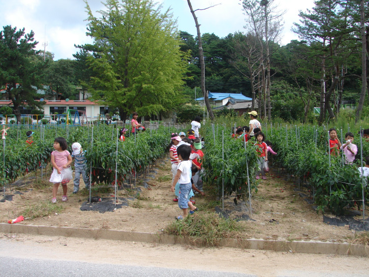 정말 열심히 따더라구요 그것도 정성것