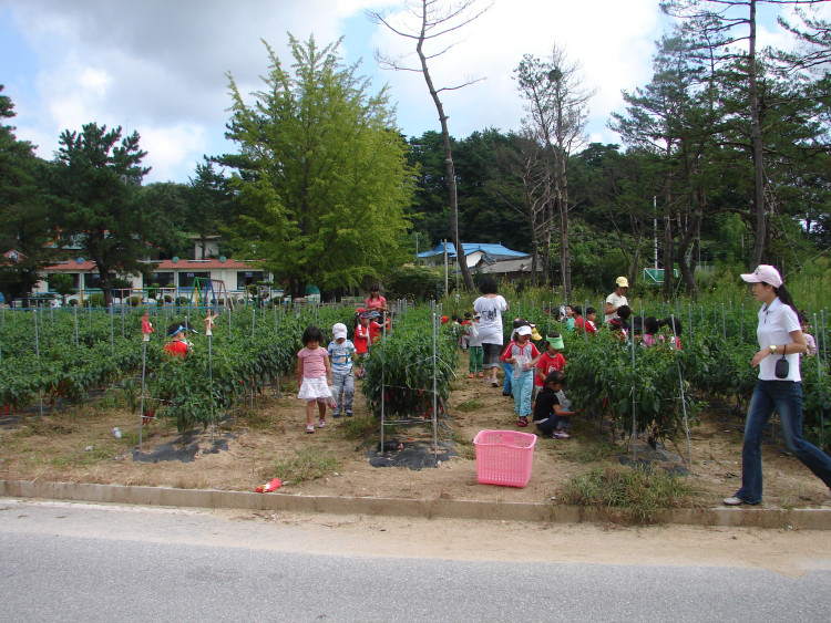 이리 저리 얼마나 잘 좇아 다니는지 정말 정신이 없더라구요