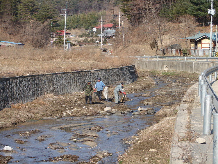 물가에서 열심히 주서담고 또 주서 담고 하면서 앞으로 앞으로