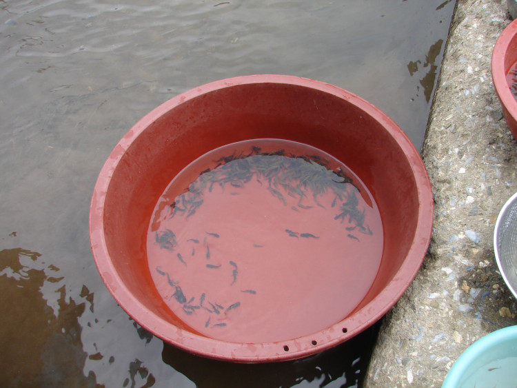 여러곳으로 분산 시키고 관찰 시간도 갔고 만지기도 하고