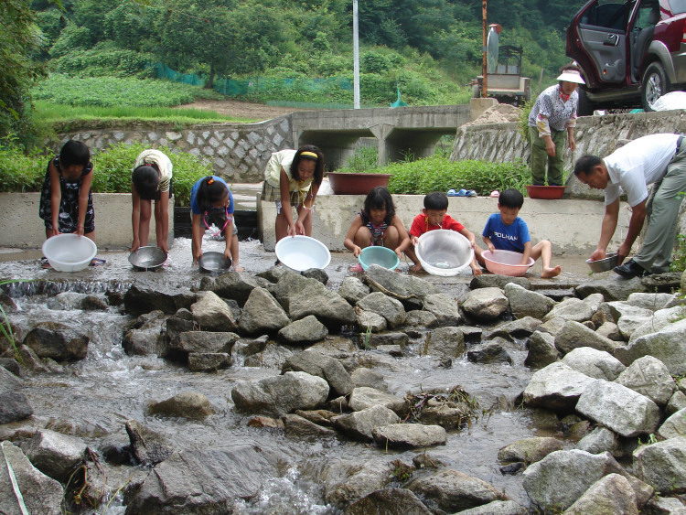 장어는 상류 돌틈이 많은 지역으로 방류하고