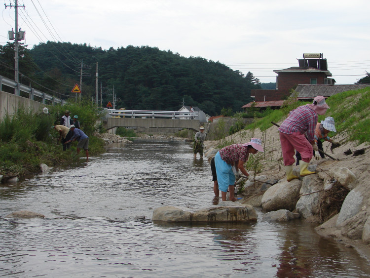 어디에서 무슨일이 생기면 나타니는 원더우먼 처럼 항상 나타난다.