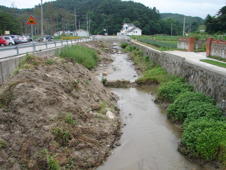 하천 주변 토사가 15톤 차량으로 250대 실어 내고도 미련이 남내요