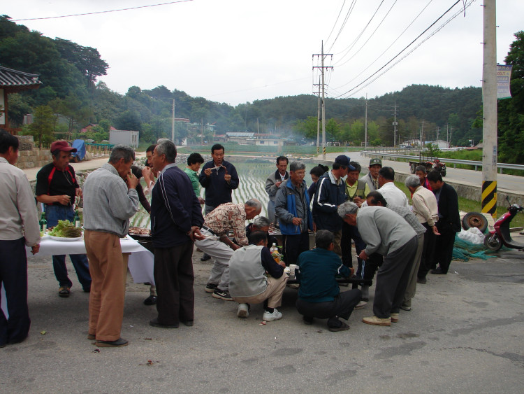 그동안 고생한 주민을 위하여 흑돼지 한마리 잡아서 마을 잔치 열고 화합 다지고