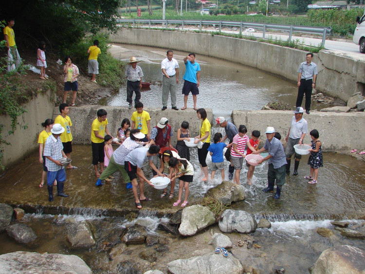 정말 물반 사람반이지요
