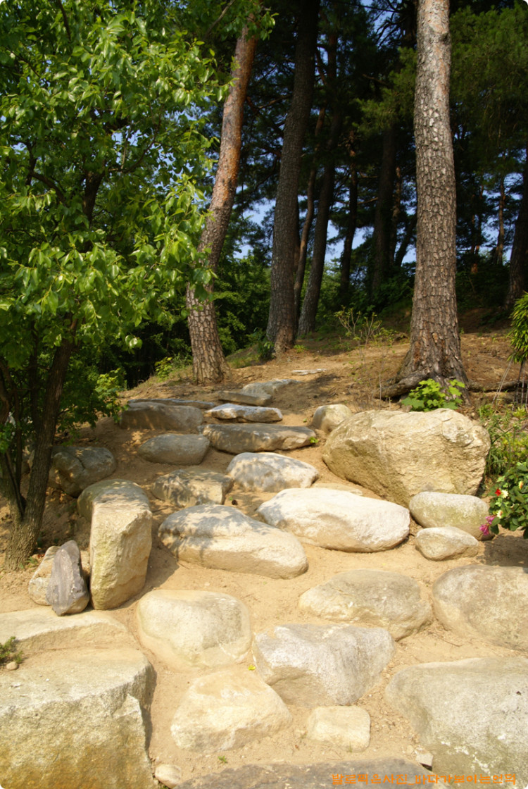 주택옆 화단을 열어서 뒷산으로 오르는 입구를 만들었습니다.