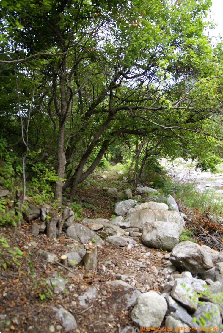 사람들이 조금 다니고 나면 걷기에도 편해질것 같습니다. 