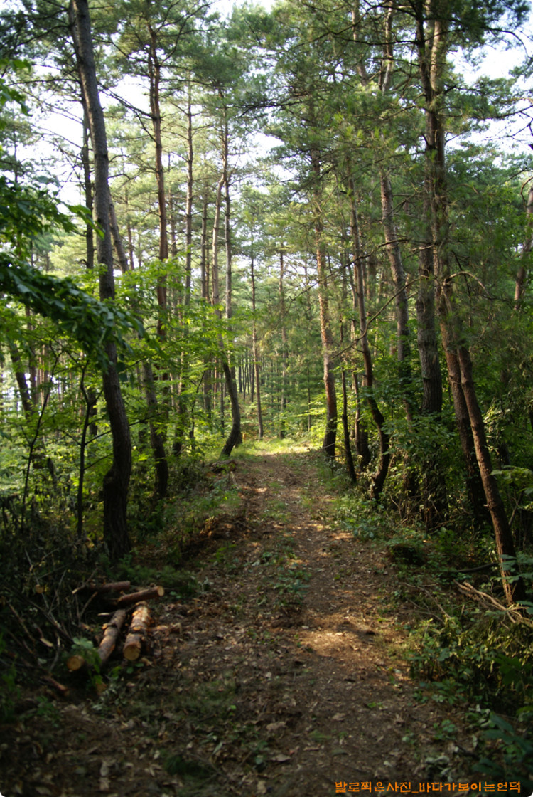 한번 따라가 보겠습니다. 