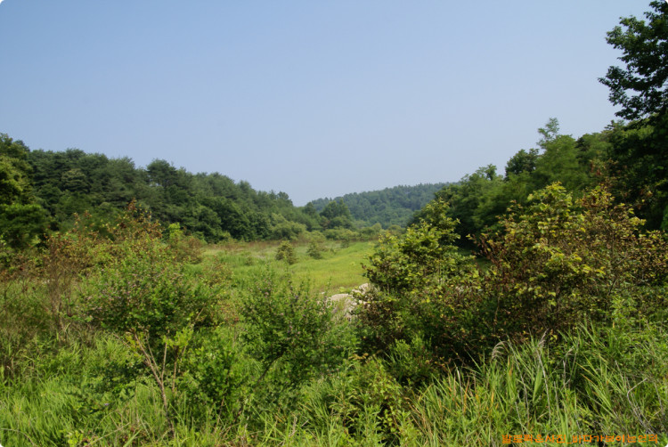 장군바위 앞쪽의 모습니다. 이곳도 나중에 잘 활용할 수 있을듯 합니다. 연구를 ~~~