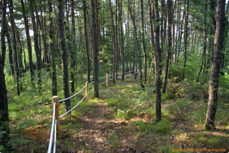 작업은 중간 정도 공정을 보이고 있는듯 합니다. 