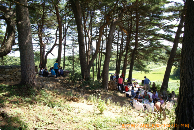 사람들도 많이 모이고