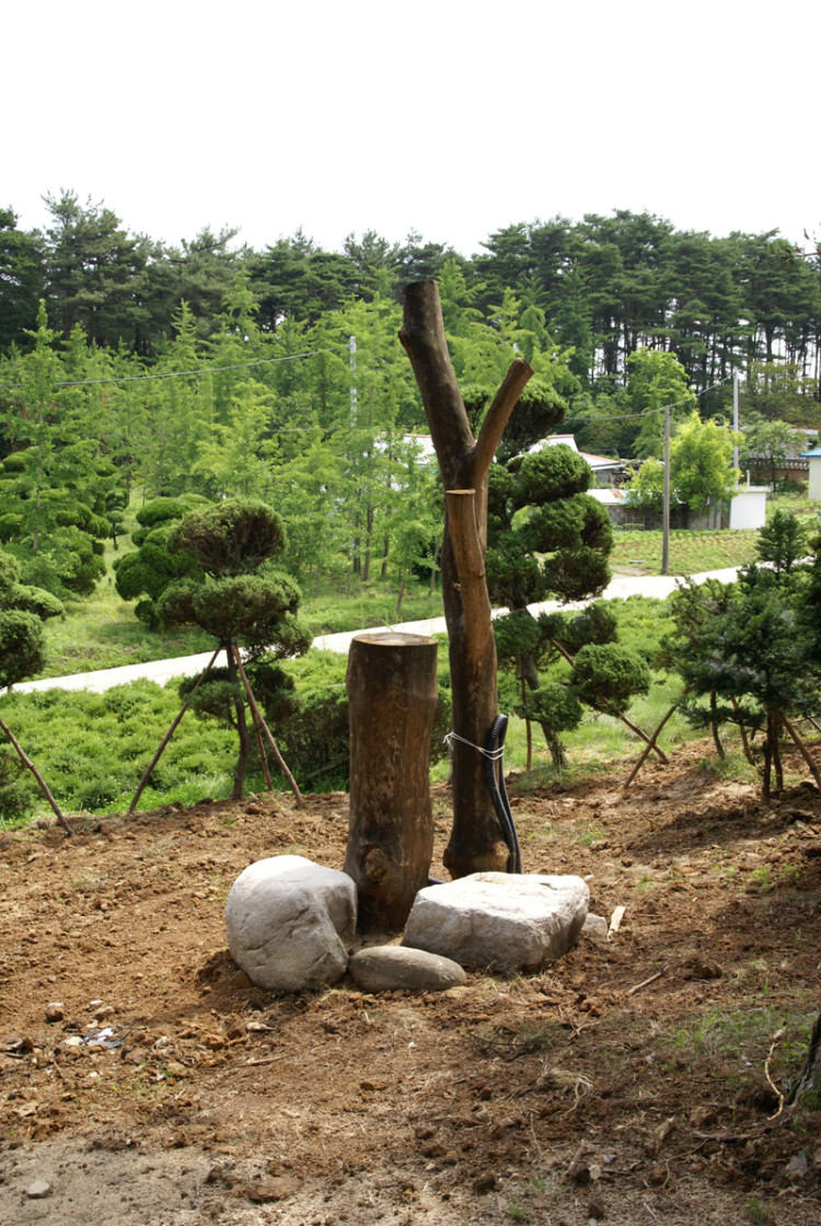 조명등도 준비를 끝내가고 있습니다. 