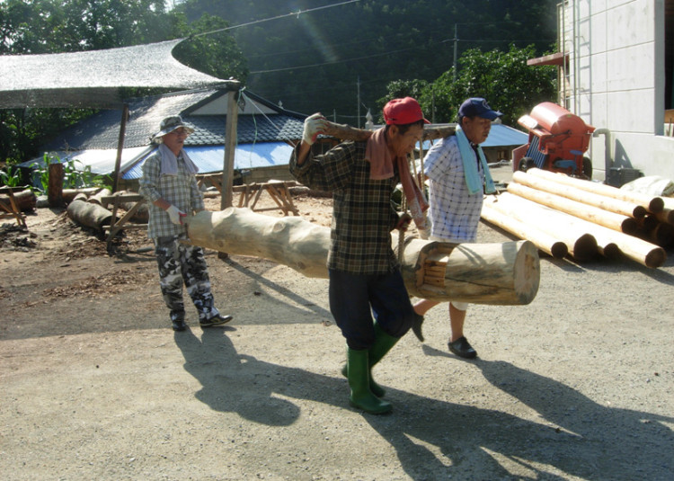정자 기둥을 목도로 옮기는 중
