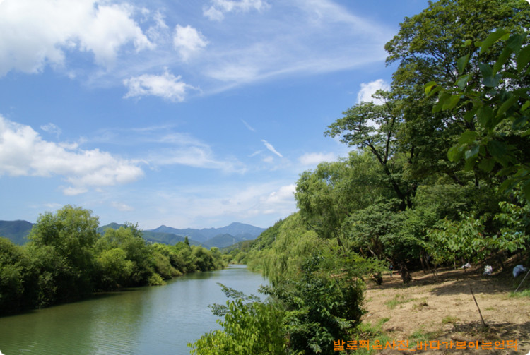 멋진 마을숲이 만들어져 가고 있다. 낙풍천은 언제 보아도 아름답다