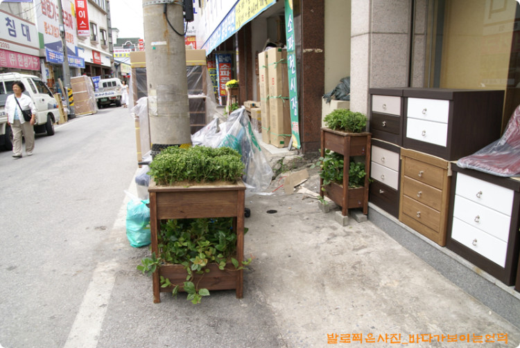 이번에 설치되는 화분들입니다. 2단으로 되어 있고 위쪽에는 국화가 아래쪽에는 음! 잘모르는 프라스틱같은 느낌이 나는 외국 꽃입니다.