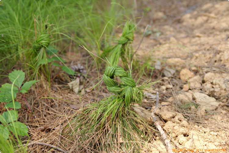 어릴적 기억이 나지요 누군가 옛기억을 더듬어본것인지 동네 친구들인지는 모르지만 ...