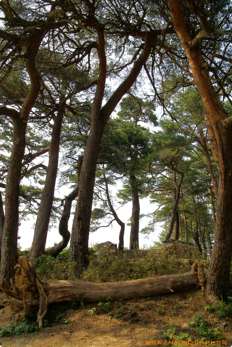 주변 환경과 아주 잘 어울리는듯 합니다. 