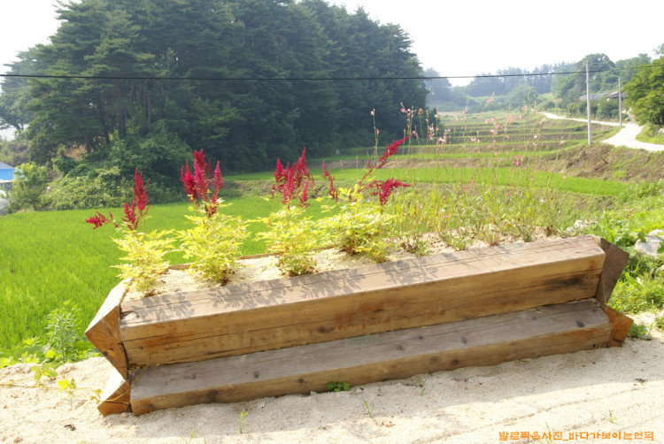 나오는 길에 본 것인데요 입구에 만들어 놓은 대형 화분이 멋지군요 