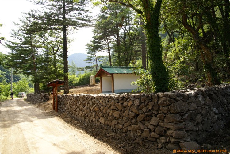 제왕솔 주변에 경계를 만들었습니다. 