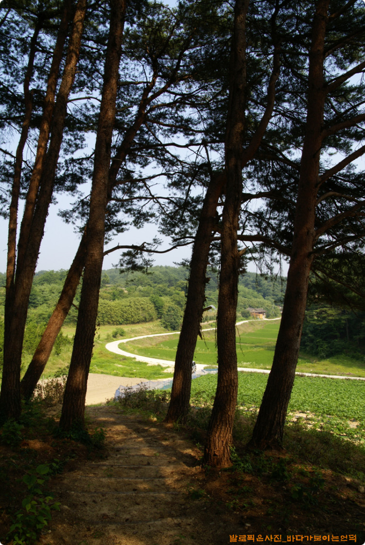 예상보다 멋진 모습이 만들어지고 있습니다. 