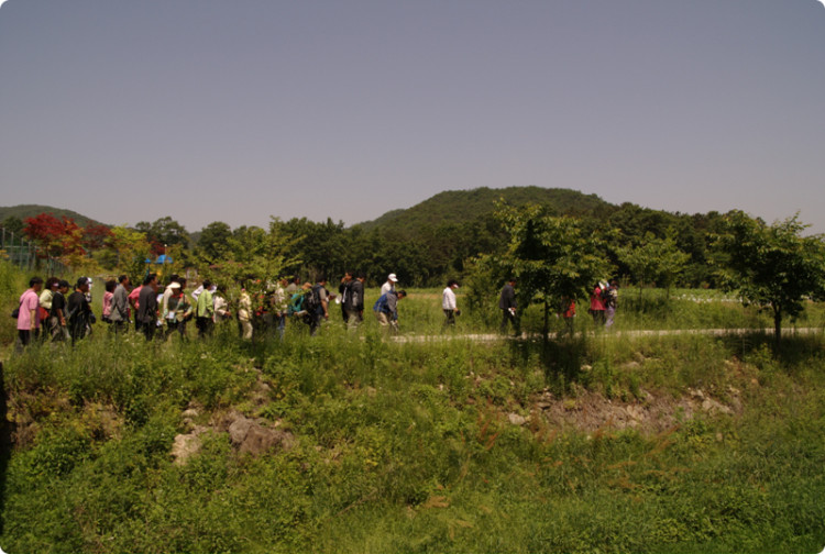 주민들이 만든 조금은 엉성해 보이는 지압보도도 걸어 보았습니다.