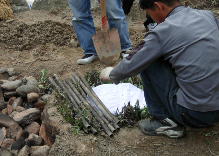옥수수와 계란으로 삼국구이