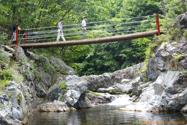 다리 아래쪽의 공간이 충분하여 큰비에도 비교적 안전할것 같습니다. 