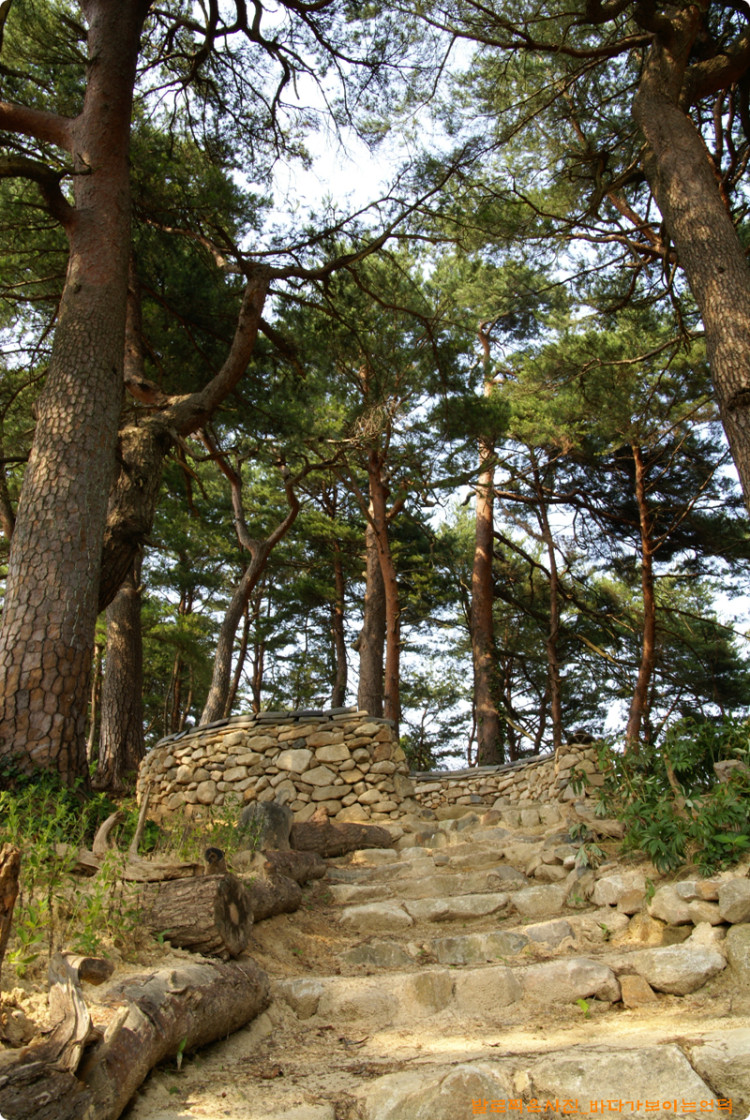 소나무와 아주 잘 어울리는 공간이 만들어 졌습니다. 