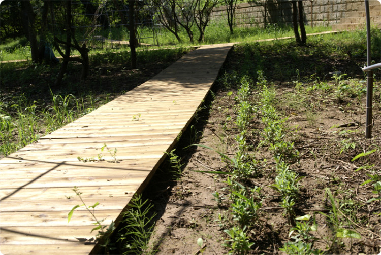 작은 다리도 만들어지고