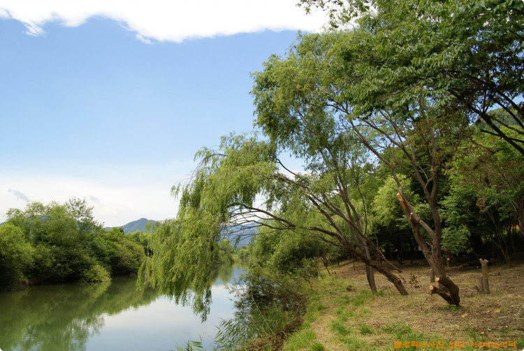 화천변의 버드나무도 잘 살리고