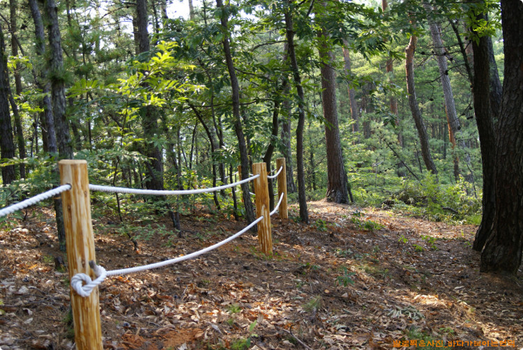 자연목을 살려서 경계 펜스를 만들었습니다. 