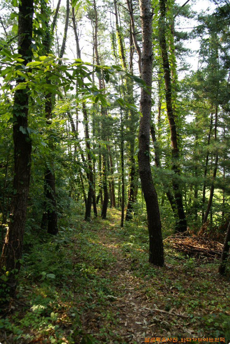 나름 운치있고 좋습니다. 