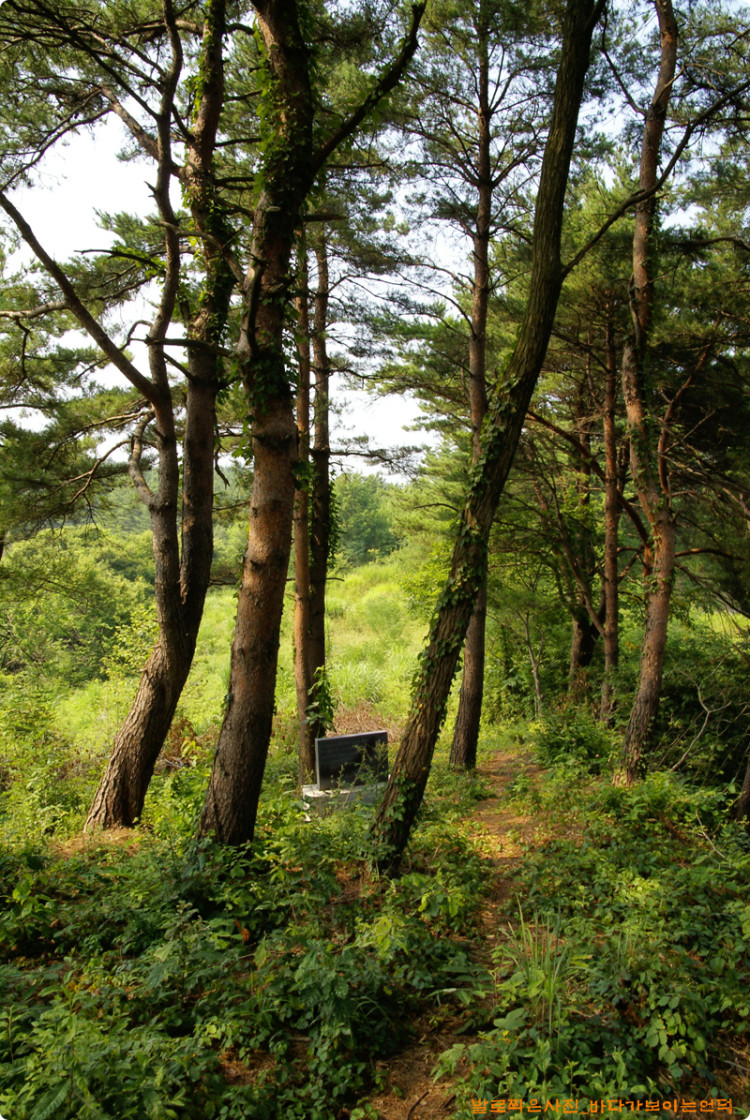 봉화대 표지석이 있는 곳이구요