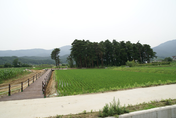 잘 무리 하셔서 좋은 결과 있기를 기원합니다. 