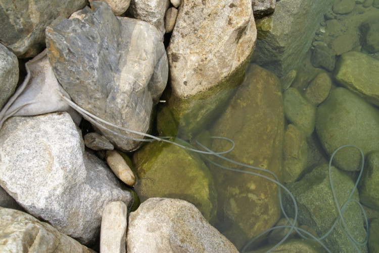 그래도 수질에는 조금 문제가 있어 보입니다. 추가적인 수질 개선 방안이 필요할듯 합니다. 