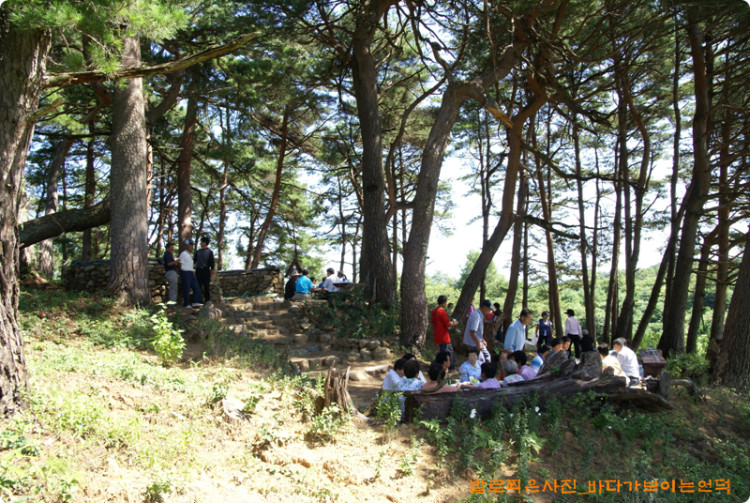 전체적인 모습을 한번 담아 보았습니다. 