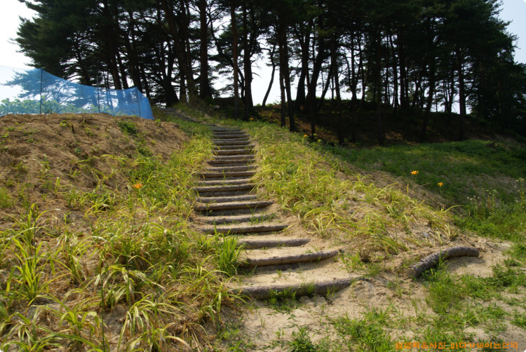 간벌목을 이용하여 멋진 계단을 만들었네요