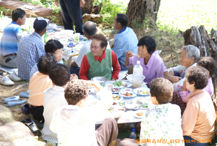 어른들의 신나는 이야기도